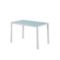 Ezra 120 cm szögletes üveg étkezőasztal