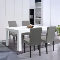 Leon 4+1 étkező garnitúra fehér-szürke