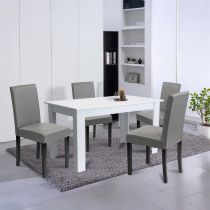 Leon 4+1 étkező garnitúra fehér-szürke