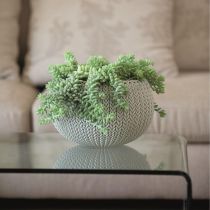 Cozies M virágtartó függeszthető szettel