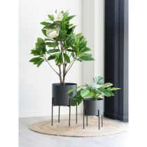 Pavia Virágcserepek, acél, szürke, 2 db